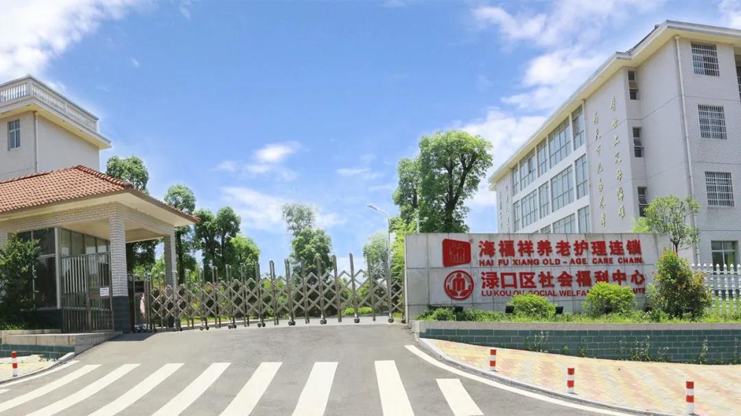 愛，讓他們積極堅守，讓長者們樂享歲月靜好