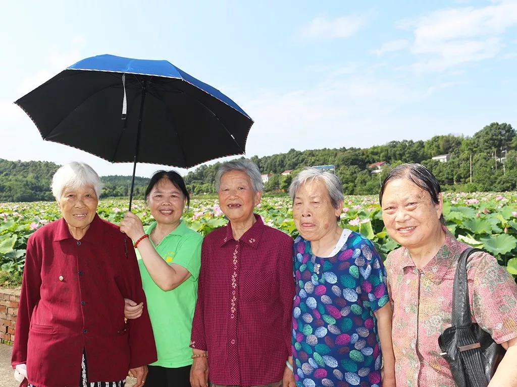 不負韶華不負景，海福祥最美賞花行
